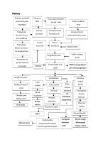 Pathway BSK-1-1