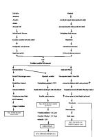 Pathway CHF