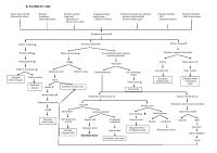 Pathway CKD