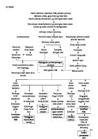 Pathway CVA [PDF]