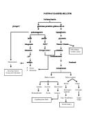 Pathway Diabetes Mellitus (+)