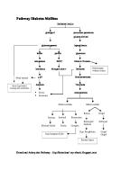 Pathway Diabetes Mellitus