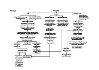 Pathway Emfisema