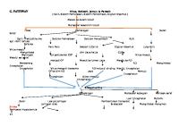 PATHWAY Ensefalitis