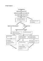 Pathway Flu Singapura [PDF]