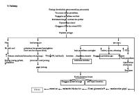 Pathway Gagal Jantung