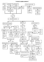 Pathway Glomerulonefritis