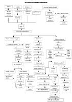 Pathway Glomerulonefritis [PDF]