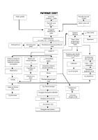 Pathway Gout Arthritis