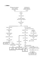 Pathway Hernia