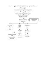 Pathway Hernia