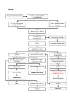 Pathway Herpes Simpleks