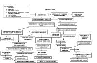 Pathway HHD [PDF]