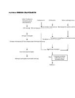 Pathway Hiperemesis Gravidarum