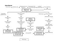 Pathway Hipotermia FIX