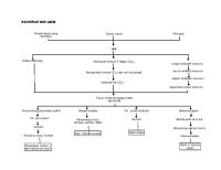 Pathway Hiv Aids Pada Anak1