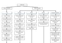 Pathway HNP Panel Tutor [PDF]