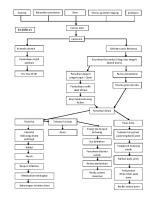 Pathway Inersia Uteri