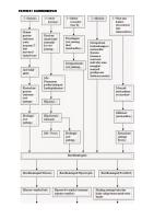 Pathway Kardiomiopati [PDF]