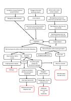 PATHWAY KOLELITIAsis