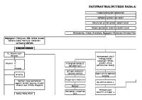 Pathway Kwashiorkor