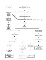 Pathway Meningitis