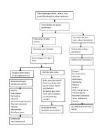 PATHWAY Oksigenasi [PDF]