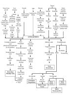 Pathway Osteoartritis