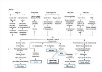 Pathway Partus Lama