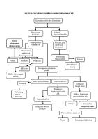 Pathway Pasien Dengan Diabetes Mellitus