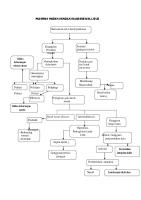 Pathway Pasien Dengan Diabetes Mellitus