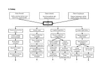 Pathway PJB [PDF]