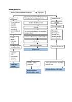 Pathway Pneumonia