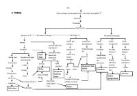 Pathway Post Partum [PDF]