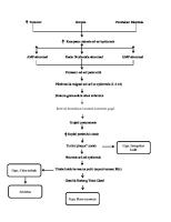 Pathway Psoriasis