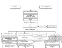 Pathway Sepsis