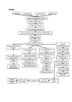 Pathway Sirosis Hepatis