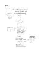 Pathway SKA [PDF]