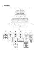 Pathway Sle