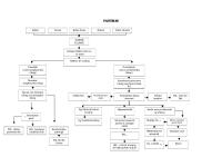 PATHWAY Tumor Tulang [PDF]