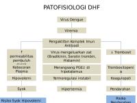 Patofisiologi DHF