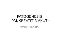 Patogenesis Pankreatitis Akut