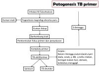 Patogenesis TB