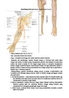 Pemeriksaan Nervus Radialis Median Ulna