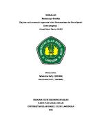 Penentuan Produk [PDF]