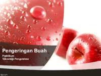 Pengeringan Buah Apel