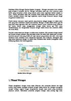 Penjelasan Siklus Nitrogen Beserta Gambar