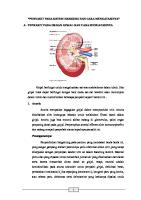 Penyakit Pada Sistem Ekskresi Dan Cara Mengatasinya