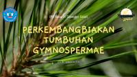 Perkembangbiakan Gymnospermae