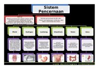 Peta Konsep Sistem Pencernaan SMA [PDF]